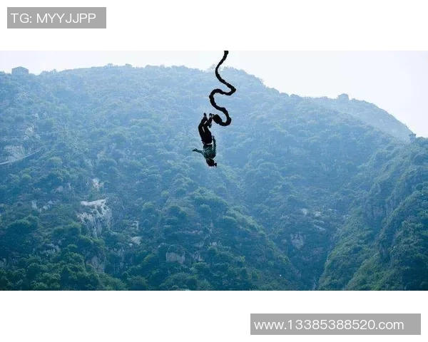 世界纪录保持者：挑战极限、超越自我，打破历史性界限的非凡旅程