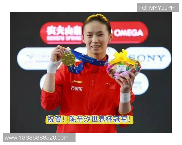 世界杯冠军荣耀之路：历史经典瞬间与未来展望