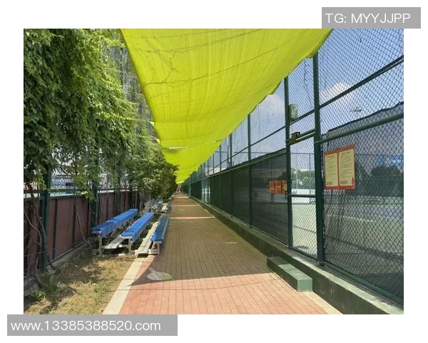 西安网球队勇闯世锦赛展现逆袭精神与团队力量的辉煌之路