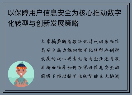 以保障用户信息安全为核心推动数字化转型与创新发展策略