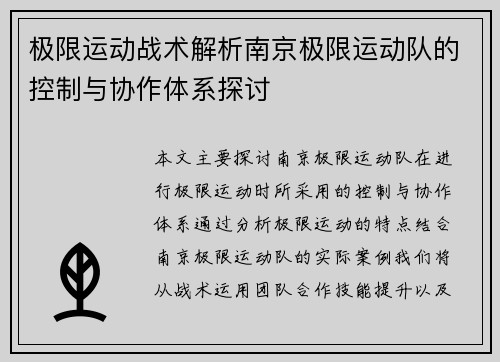 极限运动战术解析南京极限运动队的控制与协作体系探讨